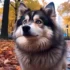 The Average Cost Of Pomsky Puppies: A Comprehensive Guide For Potential Buyers