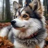 Pomsky Mixed with German Shepherd: Unique Breed Characteristics and Care Tips