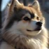 Everything You Need to Know About Pomsky Pets