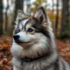 Find Your Perfect Pomsky Companion at Our Pet Store