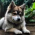 Pros and Cons of Owning a Pomsky: Everything You Need to Know