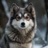 Pomsky Hat: Stay Stylish and Warm with this Adorable Accessory
