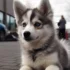 Pomsky German Shepherd Mix: Understanding These Unique Crossbreeds