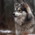 Pomsky Puppy Garden Reviews: What to Know Before Bringing One Home