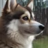 Do Pomskies Shed A Lot? Understanding The Shedding And Allergy Risks
