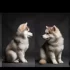 Pomsky Half Husky: Understanding This Adorable Designer Dog