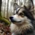 All About Pomsky Pomeranian Husky Mixes: A Comprehensive Guide for Dog Owners