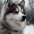 Pomsky F2: Understanding The Second-Generation Pomskies