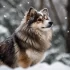 Purebred Pomsky Puppies for Sale: Find Your Perfect Companion