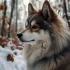 Realistic Husky Dog Pomsky Toy Reviews: Are They Worth the Price?