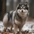 Pomsky Robot Dog: A Guide to Understanding this Hybrid Breed