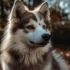 Snowflake Pomsky: A Guide to Understanding This Unique Pomsky Mix