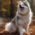 Adorable Tan and White Pomskies: A Guide to Their Size and Appearance