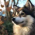 Teacup Pomsky: The Ultimate Guide to Understanding this Miniature Pomskies