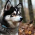 Top 50 Pomsky Puppy Names for Females