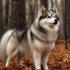 Toy Pomskies: Adorable and Friendly Companions