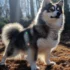 What Is a Pomsky Like: Unveiling the Personality Traits of This Adorable Hybrid Breed