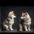 The Bluebird House Of Pomsky: A Guide To Raising And Caring For Your Pomsky