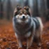 Pomsky Puppies Cost: How Much Should You Expect To Pay?