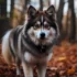 Find Your Perfect Pomsky Companion Near You