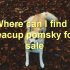 FAQs about Pomsky Teacup Husky Puppies