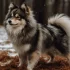 Find Your Perfect Pomsky Companion on eBay