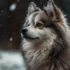 Pomsky Breeding 101: A Guide To Responsible Breeding Practices